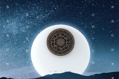 Creative bluetooth small speaker portable (4)