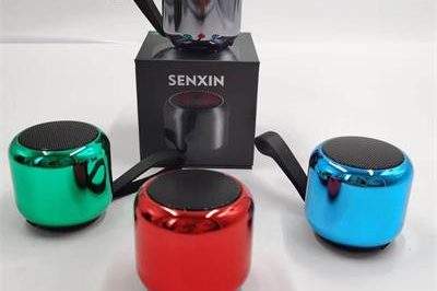 Custom portable wireless bluetooth speaker (8)