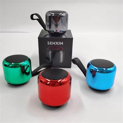 Custom portable wireless bluetooth speaker (8)