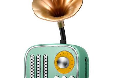 Wireless bluetooth speaker card to play radio (6)