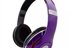 Foldable earphone (18)