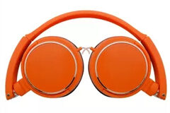 Foldable earphone (20)